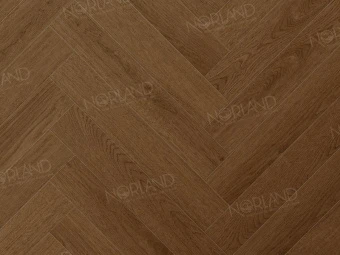 LF304-20 Этна