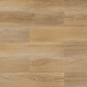 2203 Дуб искристый