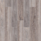 Дуб Аризона 2001