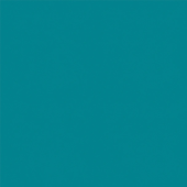 OMNISPORTS ACTION 65 TEAL