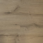 8802  Дуб бежевый