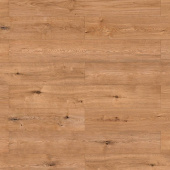 56686 Дуб Линдау / Lindau Oak