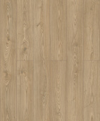 D50567 Дуб Лейнстоун