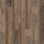 Дуб Колорадо 2000