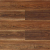 Дуб Красный