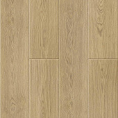 50817 Дуб Виейра