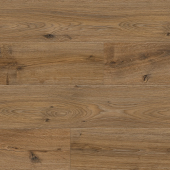 8317 Дуб Новион