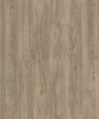 D50137 AF Дуб Мендель