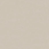 BONUS AMOS 1; AMOS 2