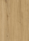 D40792 Дуб Тахо