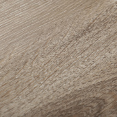 16147 Дуб Черчиль