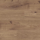 4112 Дуб Райли