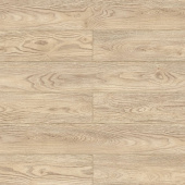 D51047 Дуб Сальва