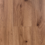 3498 Дуб Джибути