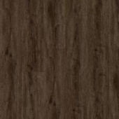 OSPC20262 Дуб Чернозём