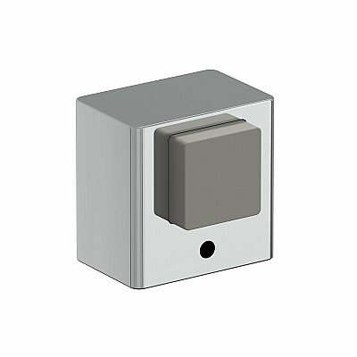 DS-1 (цвет C Хром)