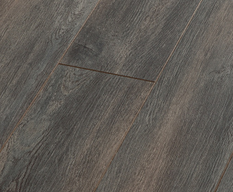 Дуб Бремен SF61