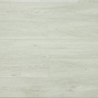  SU1202 Дуб Монти