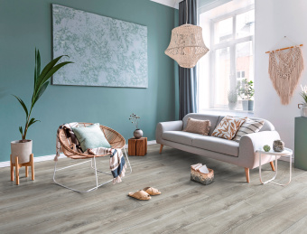 4797 Дуб горный серебристый