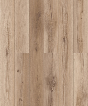 50787 Дуб Олссон