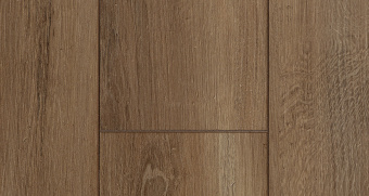 SF60 Дуб Берлин