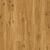 CXCL40192 Дуб яркий теплый натуральный