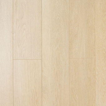 CXI146 Дуб марципановый