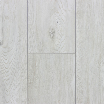 Арагонский дуб