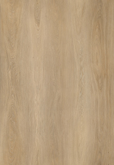 6604 Дуб шампань