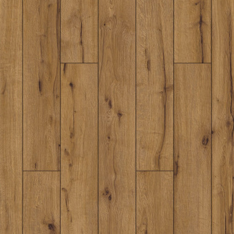 ID101 Дуб Пэйс