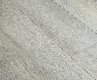 FP457 Дуб Палермо