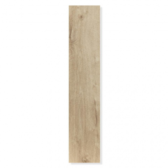 4404 Дуб голландский