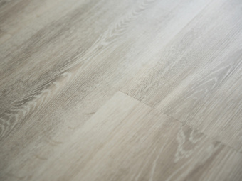 Q-13 Дуб Квинс