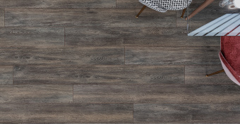 Дуб Бремен SF61