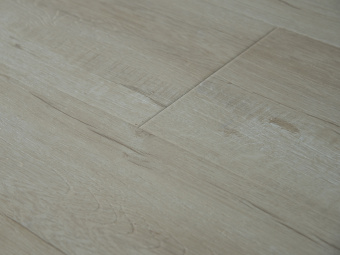 2412 Дуб Беленый