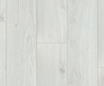 FP456 Дуб Бернар 