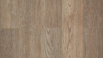 LM-15 Дуб Орцо 