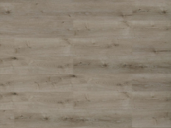 16187 Дуб Ривьера