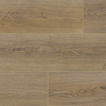 NC83 Дуб Эсквайр