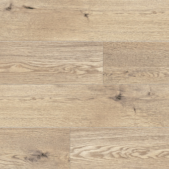 NC82 Дуб Хантер