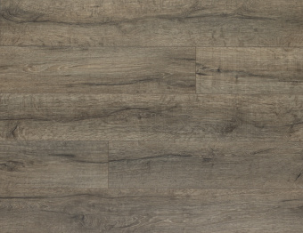 CXCL40109 Дуб пещерный серый