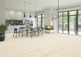 D40067 Дуб Арена