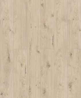 50747 Дуб Бирта