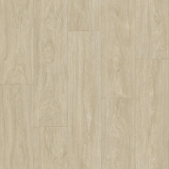 CLUB MAXIMUS 1; MAXIMUS 2