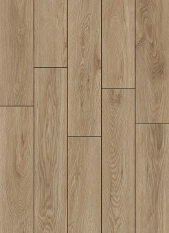 6610 Дуб золотистый