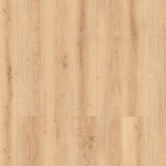 56219 Дуб Светлый