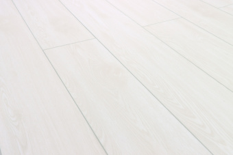 Дуб Беленый 