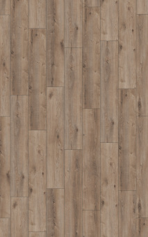 6020 Дуб Кашмир Титан