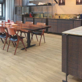 CLH5791 Дуб песочный греш