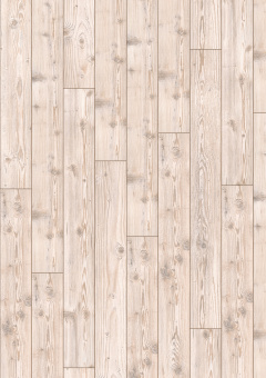 D2967 Пихта Сибирская